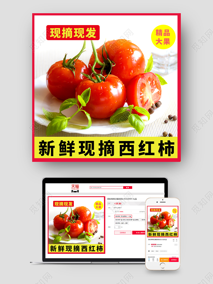 红色简约新鲜现摘红柿子西红柿番茄蔬菜生鲜主图