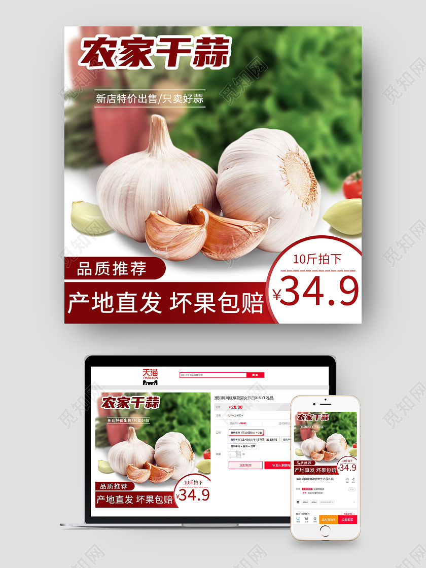 红色简约农家干蒜蔬菜主图模板