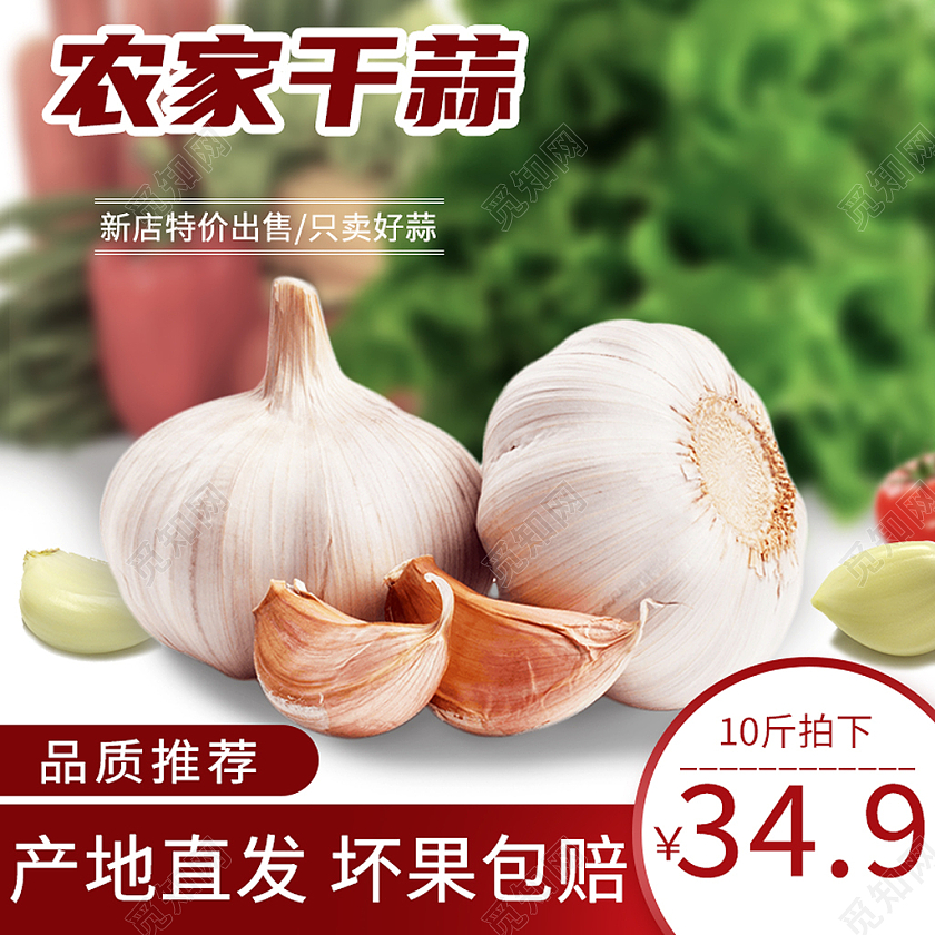 红色简约农家干蒜蔬菜主图模板
