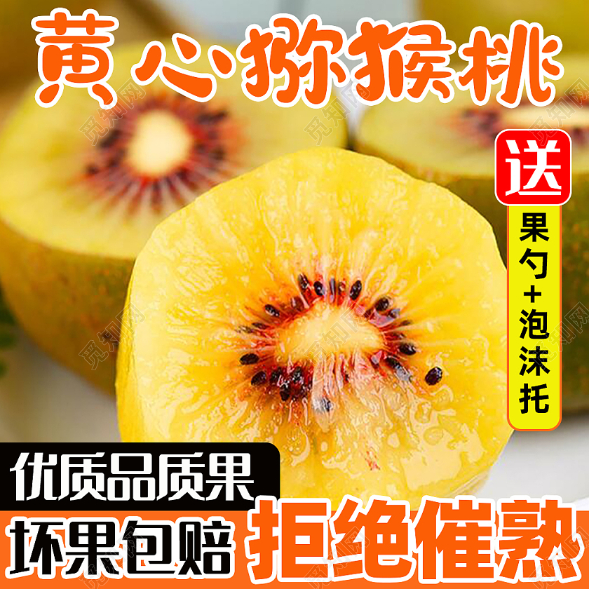 橙色黄心猕猴桃水果活动电商淘宝水果主图直通车