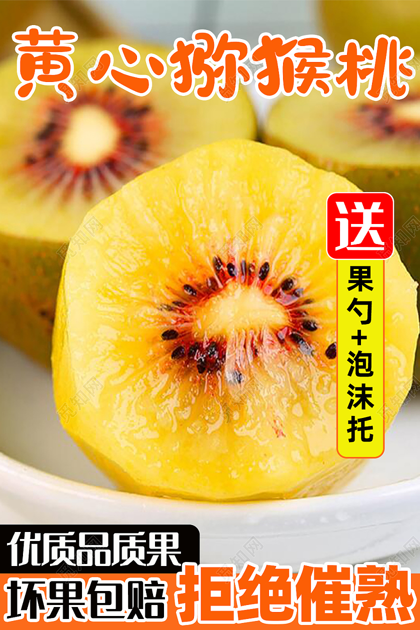 橙色黄心猕猴桃水果活动电商淘宝水果主图直通车