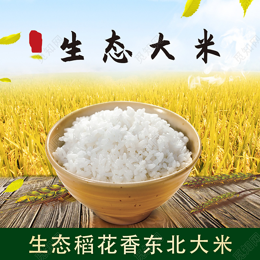 黄色简约生态大米粮食农产品粮食农产品大米主图直通车
