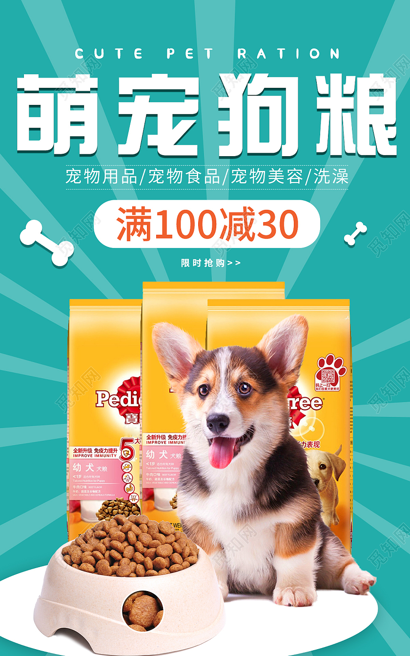 绿色清新宠物营养粮食狗粮猫粮banner促销海报