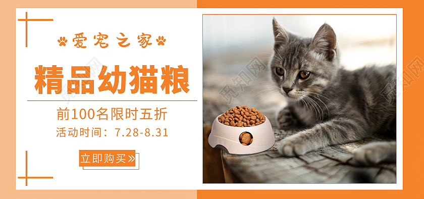 橘色黄色卡通爱宠之家精品猫粮狗粮促销活动海报banner