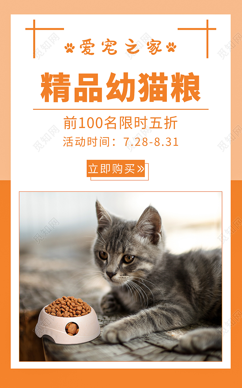 橘色黄色卡通爱宠之家精品猫粮狗粮促销活动海报banner