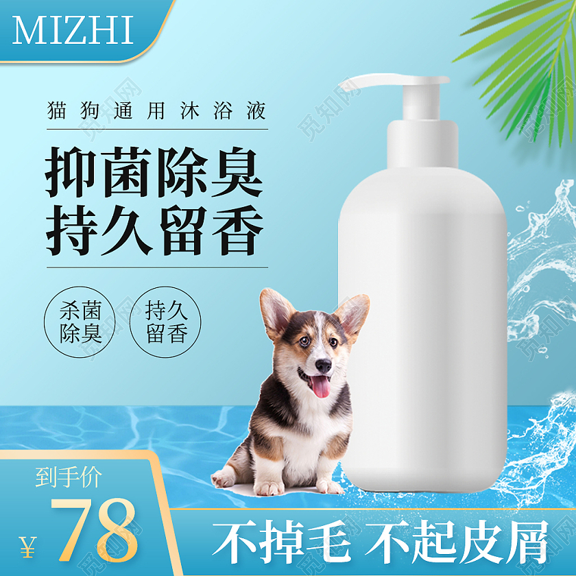 蓝色猫狗宠物通用沐浴液电商天猫洗护沐浴露主图直通车