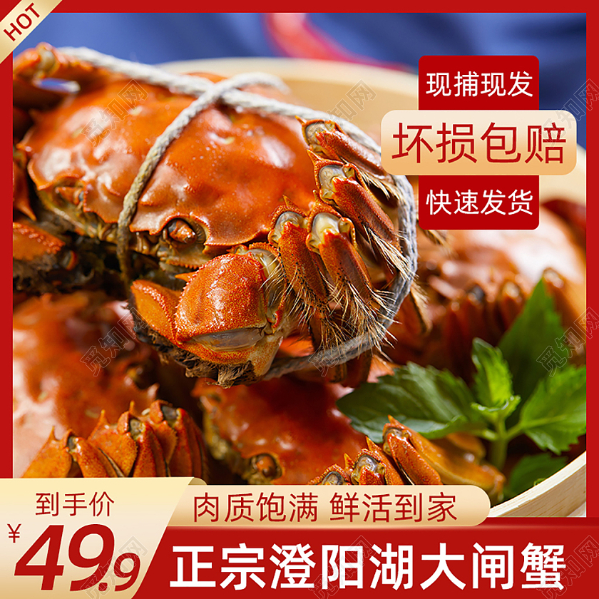 红色大闸蟹主图直通车电商淘宝天猫京东