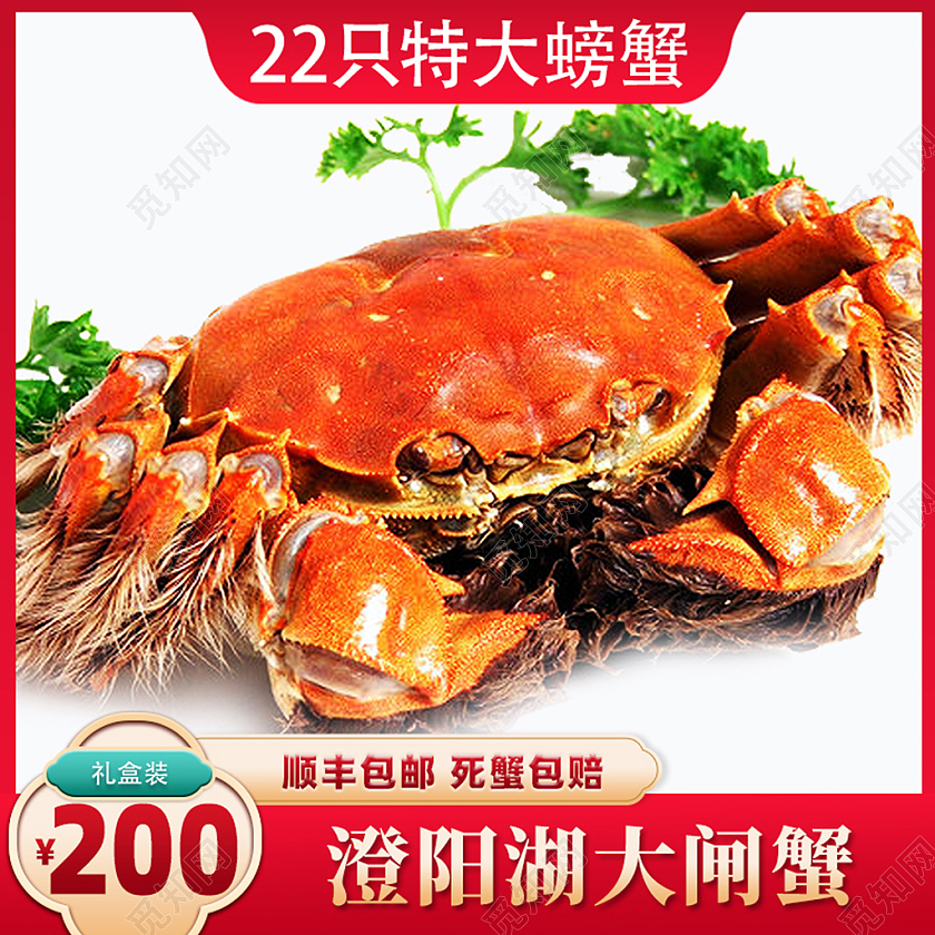 红色简约创意大闸蟹主图设计大闸蟹主图