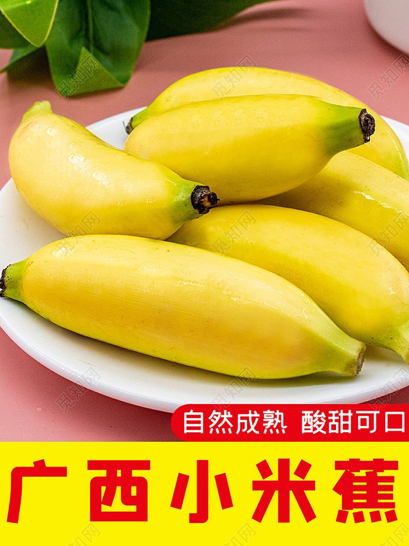 黄色简约广西小米香蕉水果生鲜秋天秋季香蕉主图