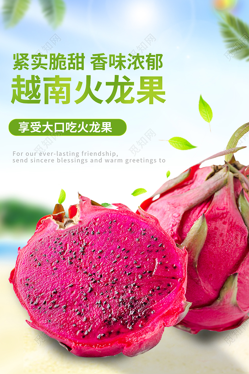 红色小清新越南火龙果水果火龙果主图直通车