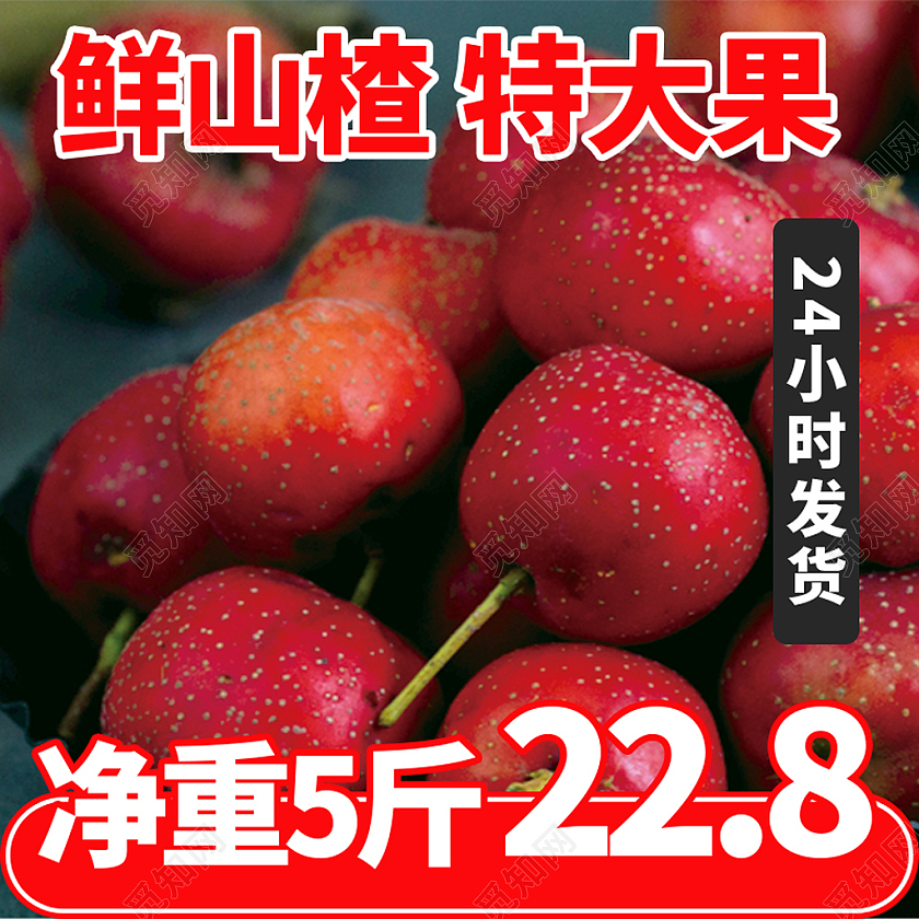 红色简约风鲜山楂特大果水果生鲜山楂主图