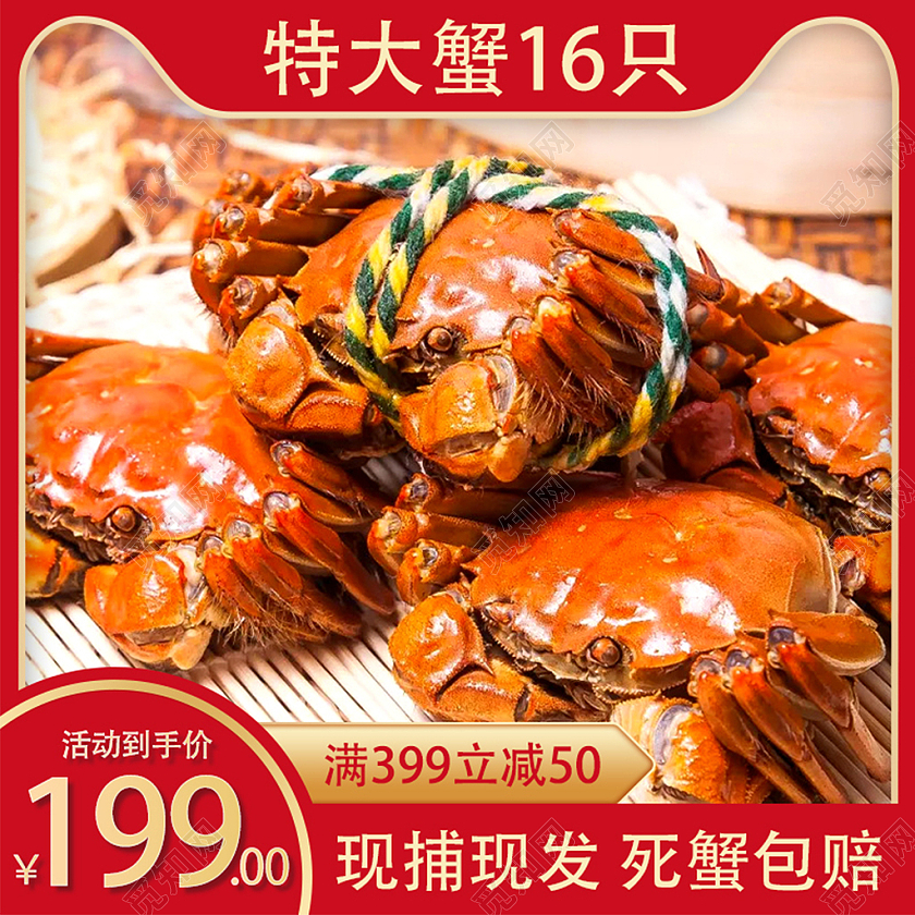 红色简约大闸蟹主图直通车淘宝电商