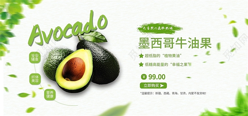 绿色清新墨西哥牛油果大自然的森林奶油水果牛油果海报banner