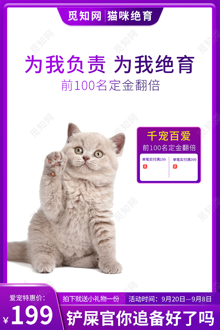 紫色简约风宠物绝育宠物医疗活动宠物医疗主图