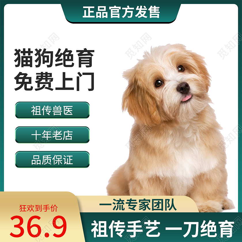 绿色简约风宠物绝育医疗活动主图直通车宠物医疗主图