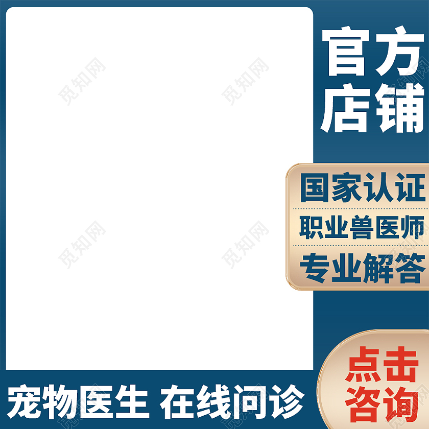 蓝色简约风宠物医生宠物医疗主图直通车