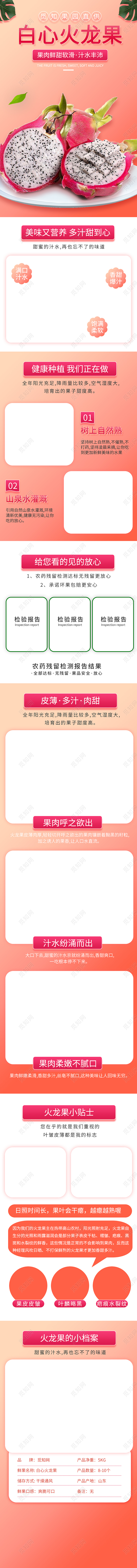 粉色简约白心火龙果水果火龙果详情页