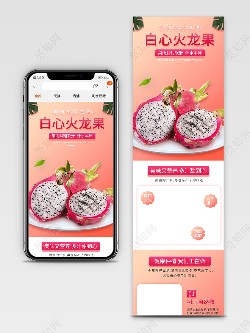 粉色简约白心火龙果水果火龙果详情页