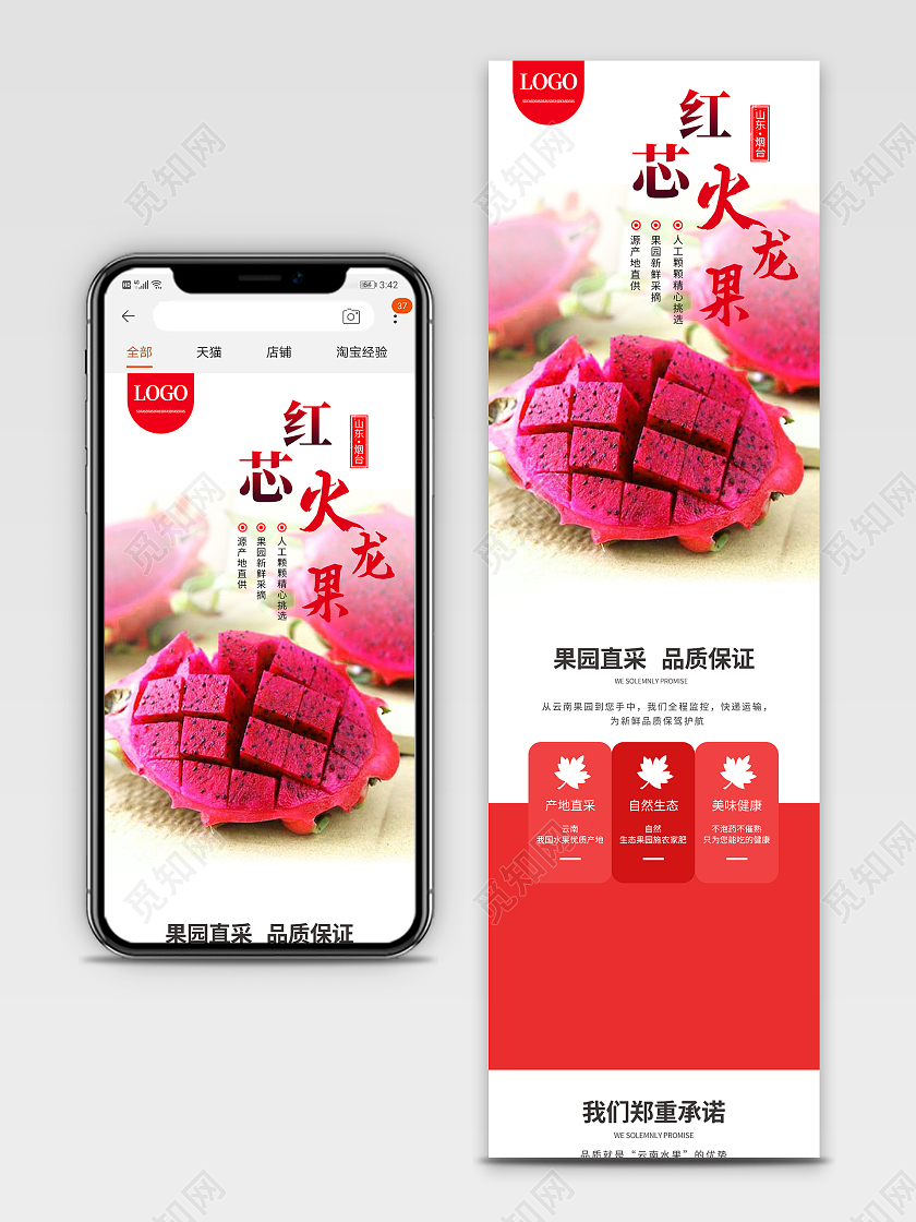 红色简约红芯火龙果水果火龙果详情页
