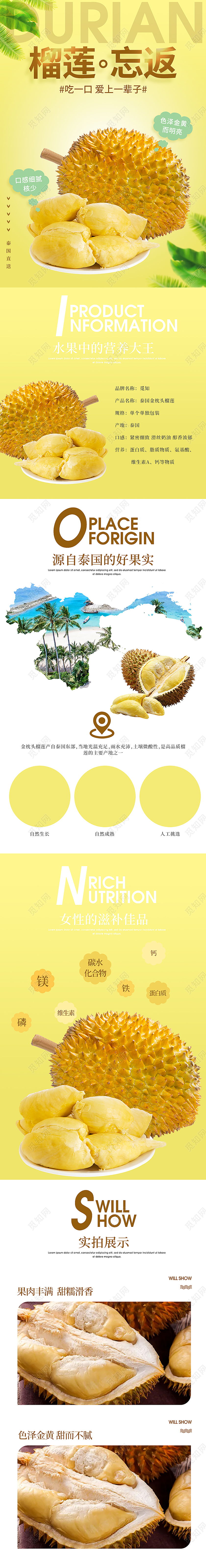 黄色简约泰国金枕头榴莲甜糯滑香榴莲忘返色泽金黄水果榴莲详情页