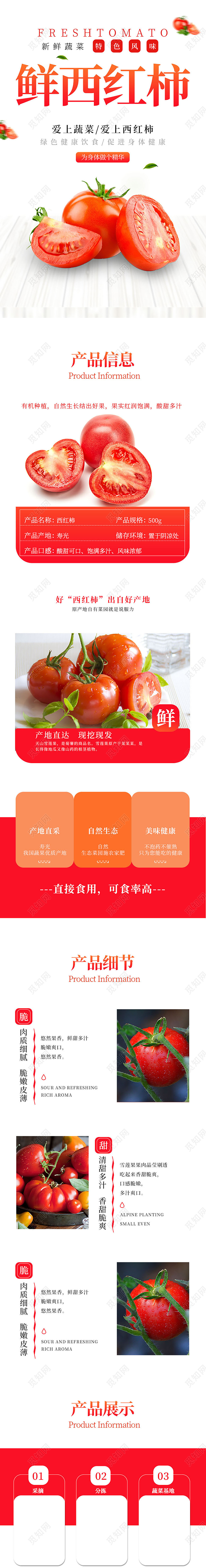 白色简约小清新番茄柿子蔬菜生鲜西红柿详情页