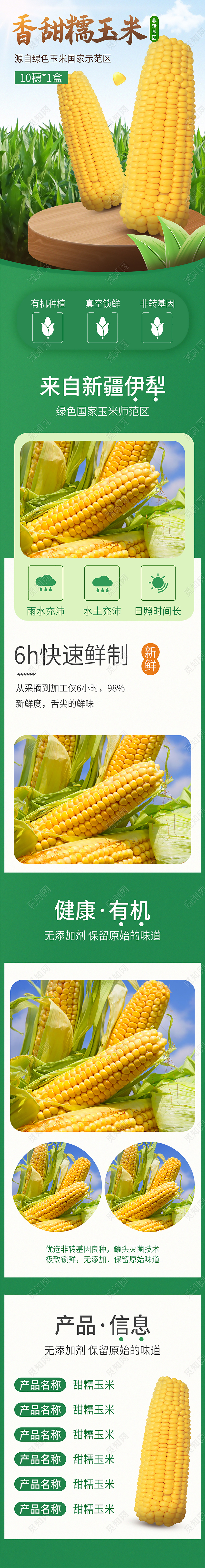 绿色简约香甜糯玉米蔬菜生鲜促销电商蔬菜生鲜玉米详情页