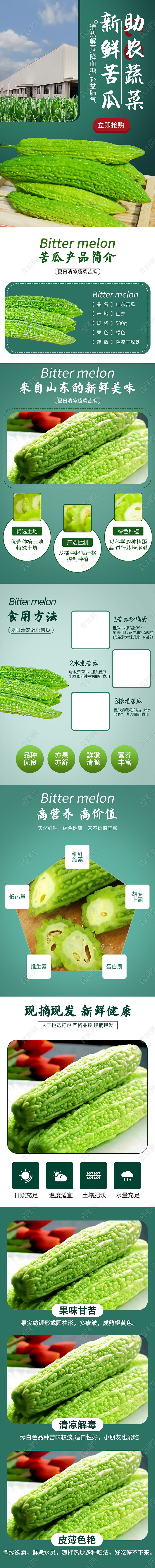 绿色简约新鲜苦瓜助农蔬菜生鲜蔬菜促销电商蔬菜生鲜苦瓜详情页
