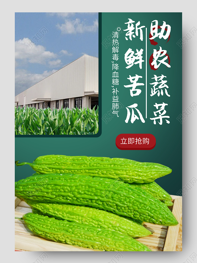 绿色简约新鲜苦瓜助农蔬菜生鲜蔬菜促销电商蔬菜生鲜苦瓜详情页