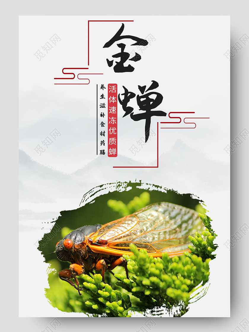 灰色简约电商淘宝天猫金蝉美食餐饮详情页