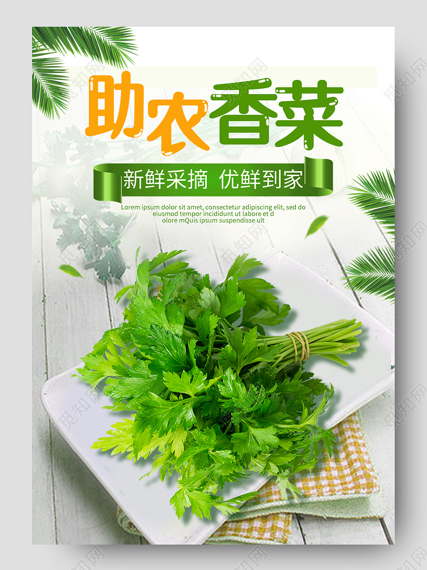 绿色简约时尚助农香菜蔬菜香菜生鲜促销电商蔬菜生鲜香菜详情页