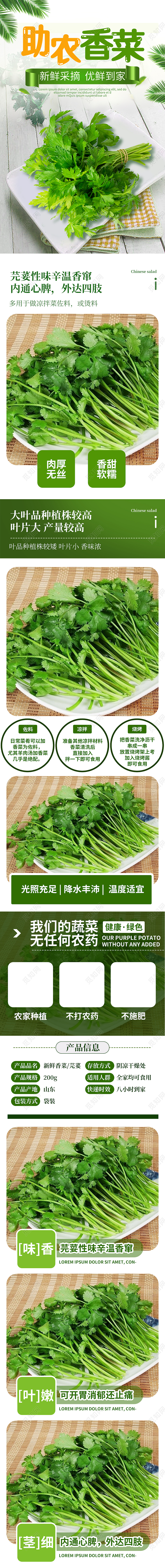 绿色简约时尚助农香菜蔬菜香菜生鲜促销电商蔬菜生鲜香菜详情页