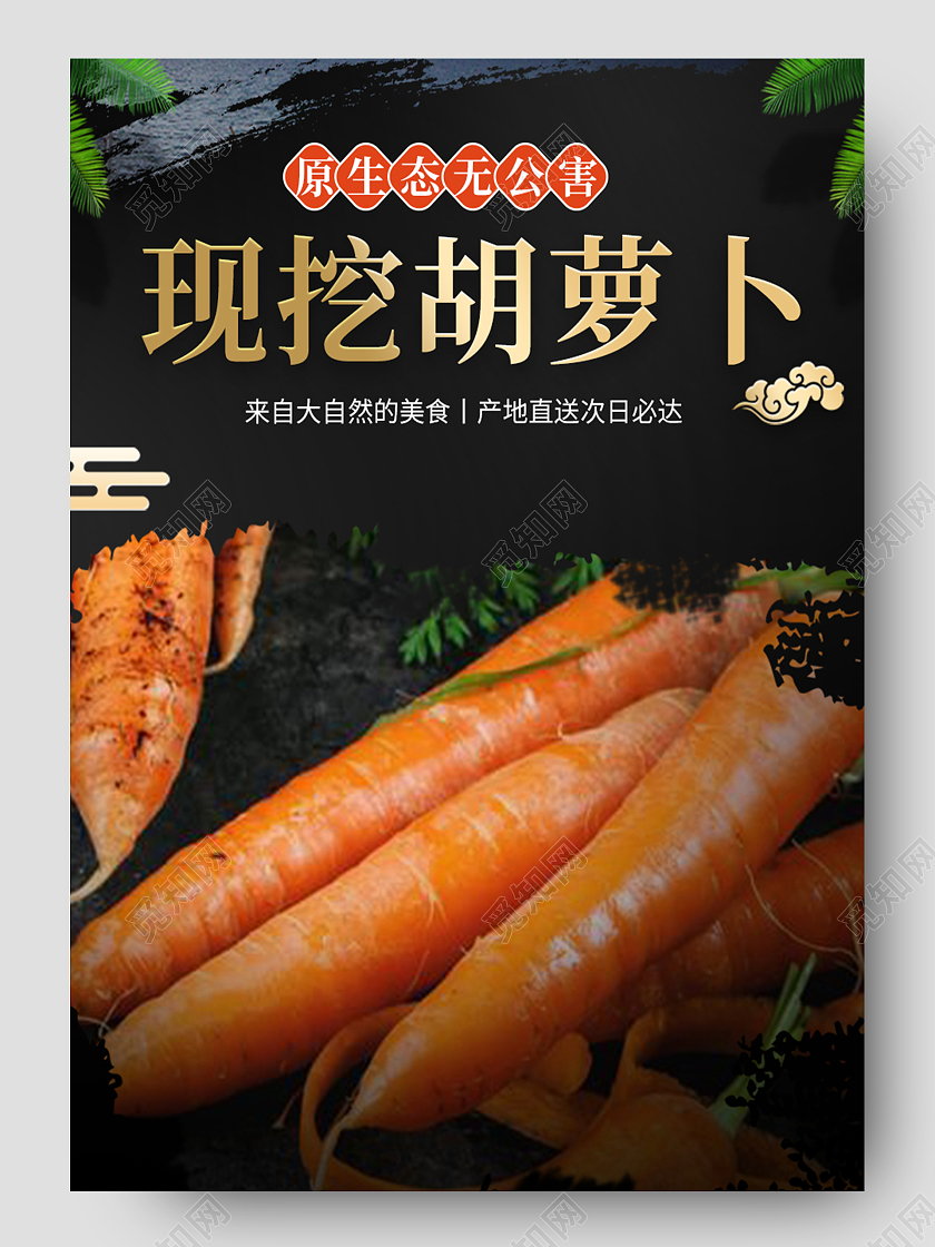 深色简约风现挖胡萝卜蔬菜生鲜胡萝卜详情页