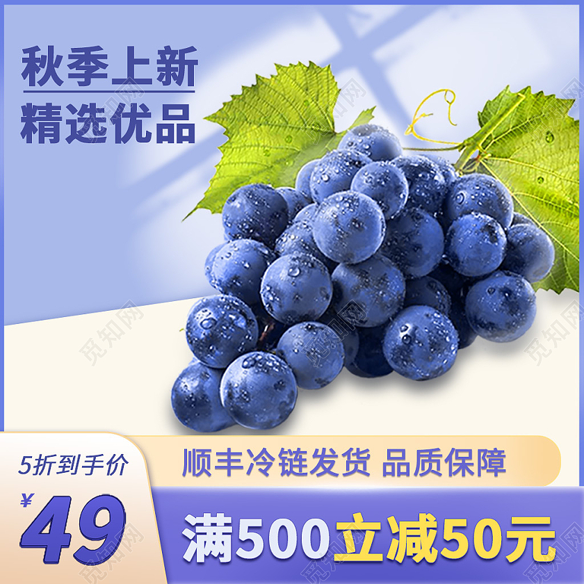 蓝色背景秋季上新精选优品葡萄主图