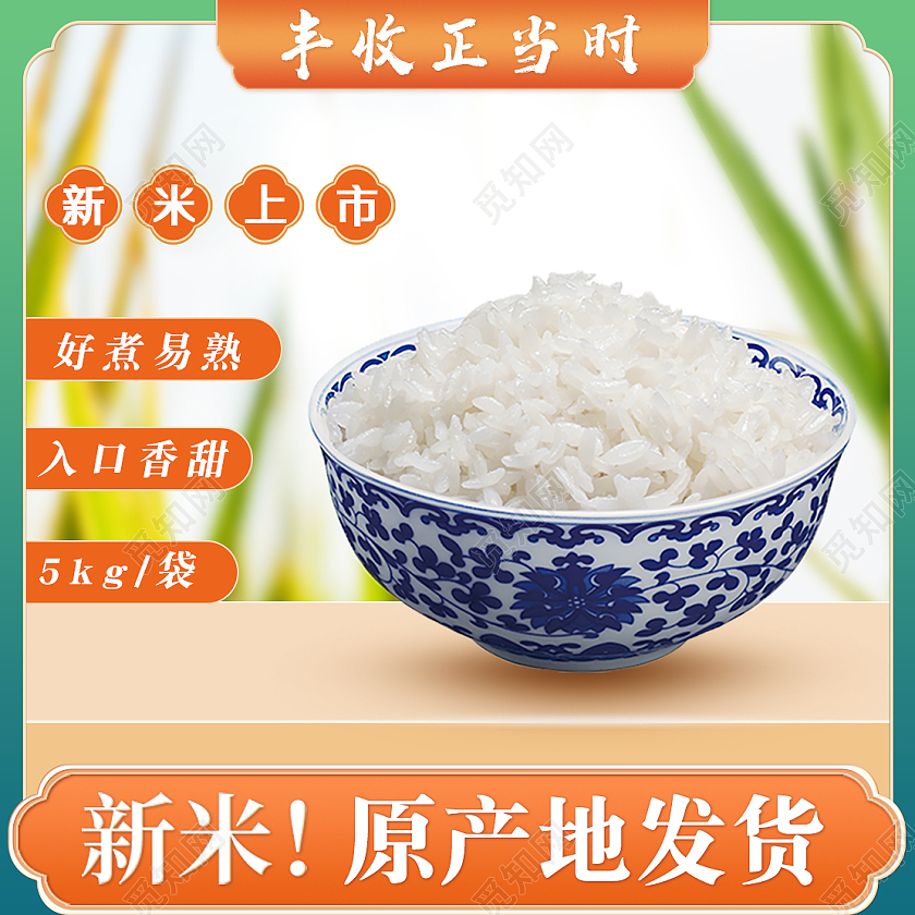 黄绿色简约风格新米上市米大米农产品主图直通车