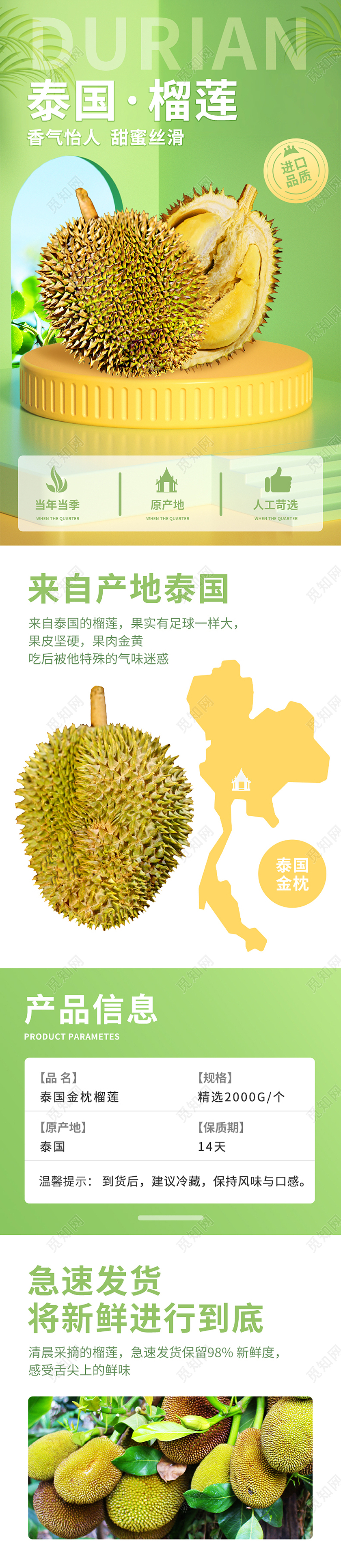泰国榴莲金枕头水果介绍详情页模板水果榴莲详情页