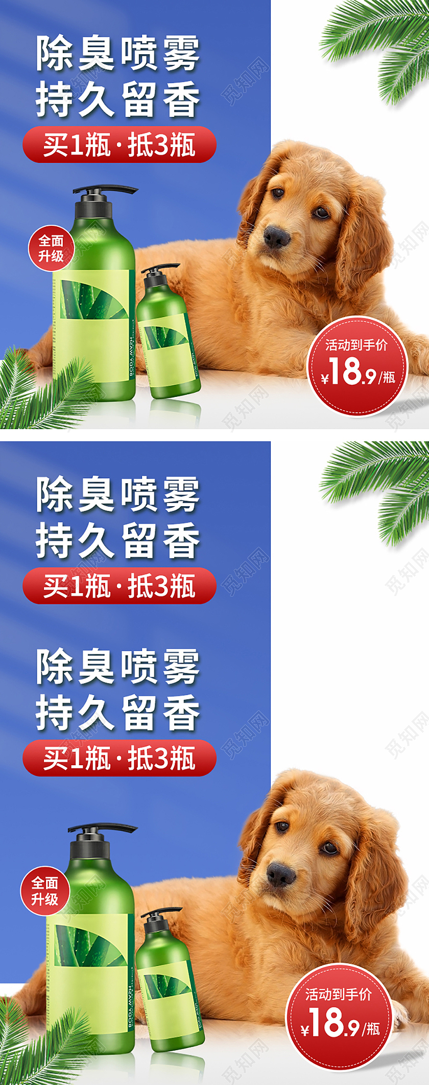 蓝色简约小清新宠物除臭喷雾持久留香猫狗专用家居主图直通车
