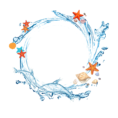 海洋边框海豚戏水边框png素材