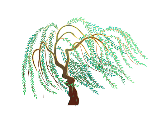 绿色手绘卡通柳树柳叶春天元素png素材