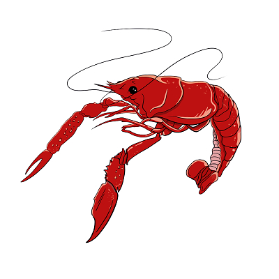 火锅虾国潮龙虾国潮插画海报png素材小龙虾