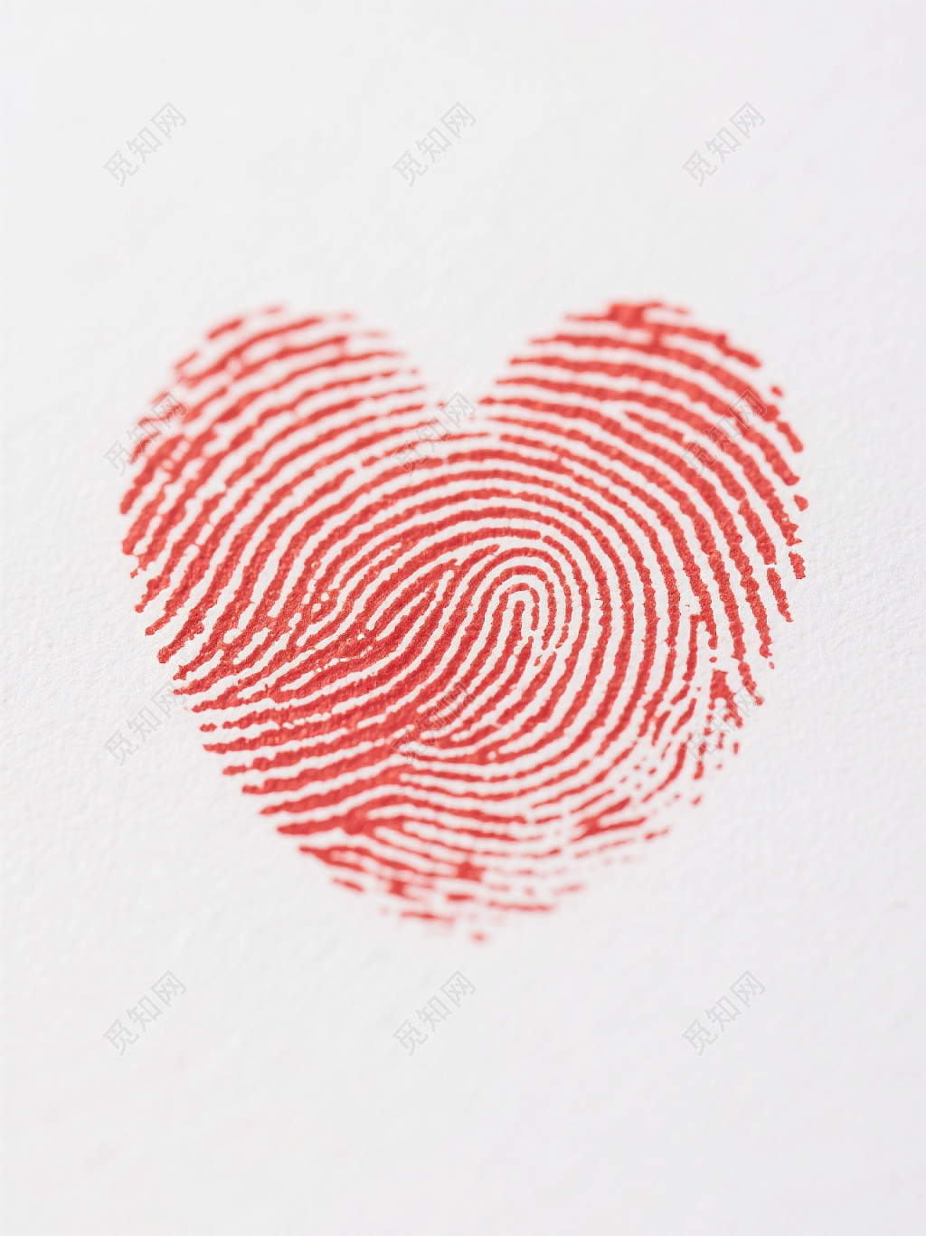 白色背景上的红色心形指纹印记