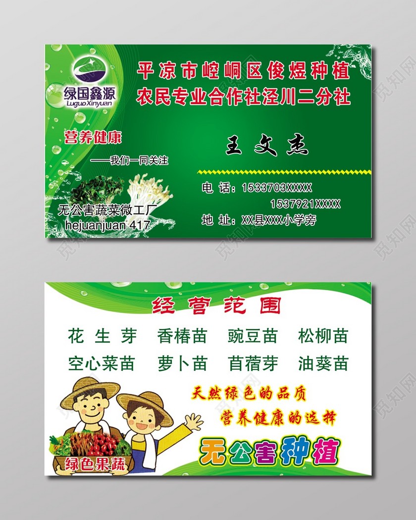 竹青多元素个体蔬菜名片