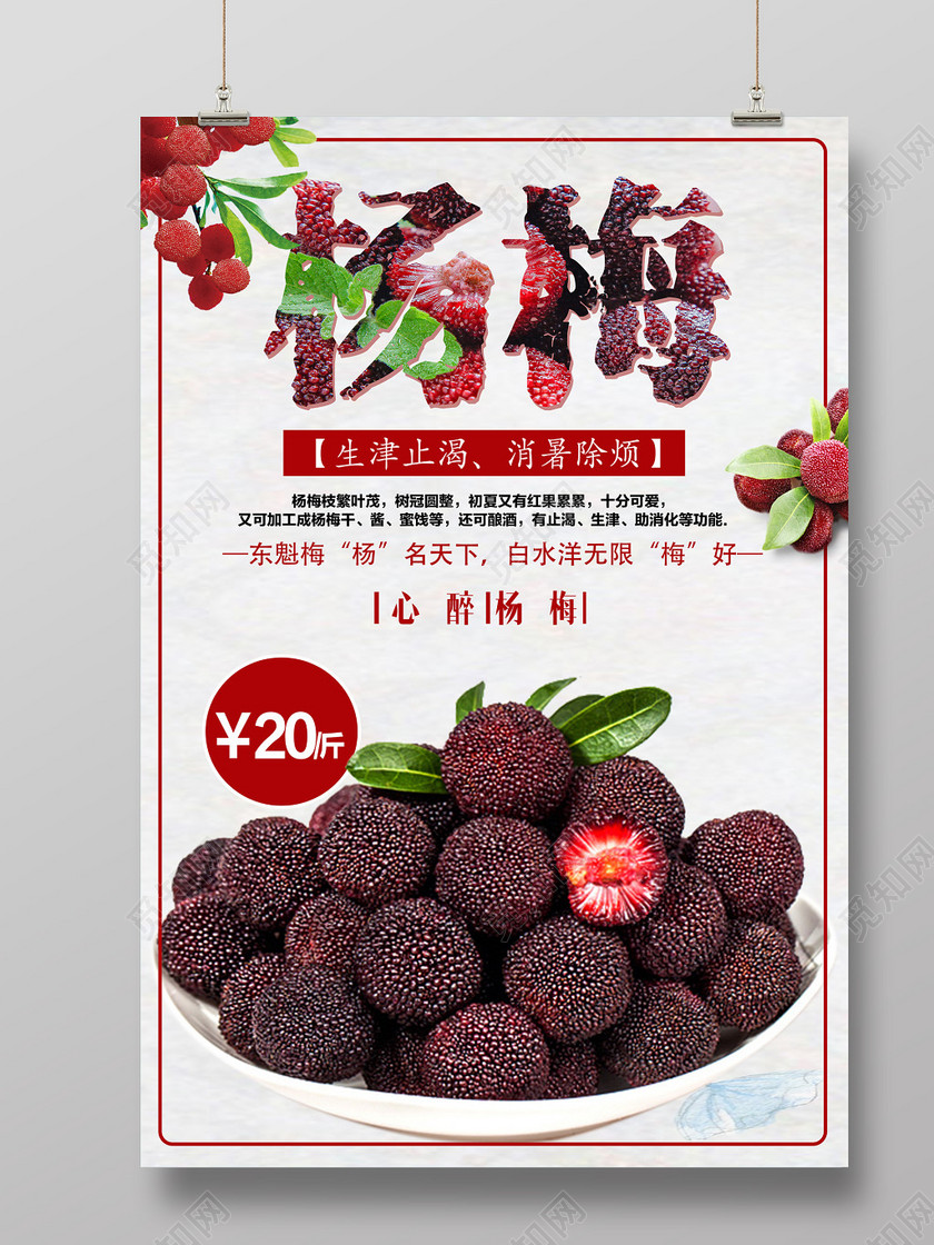 心醉杨梅水果消暑必备海报