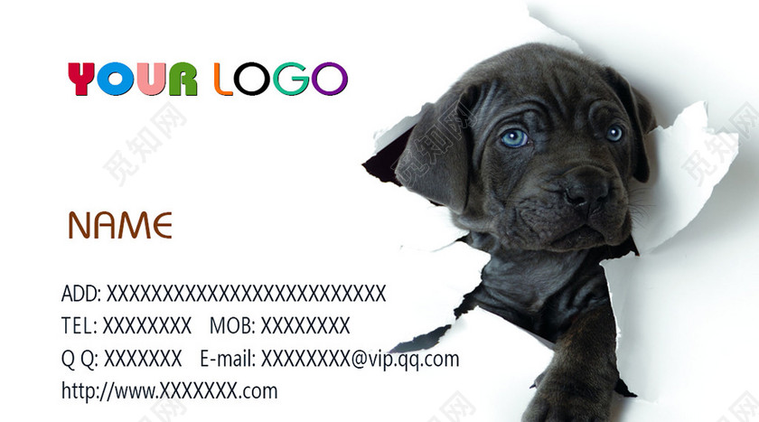 宠物店名片简约英文白色名片设计模板