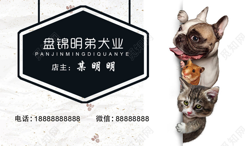 宠物店名片简约时尚艺术订购名片设计模板
