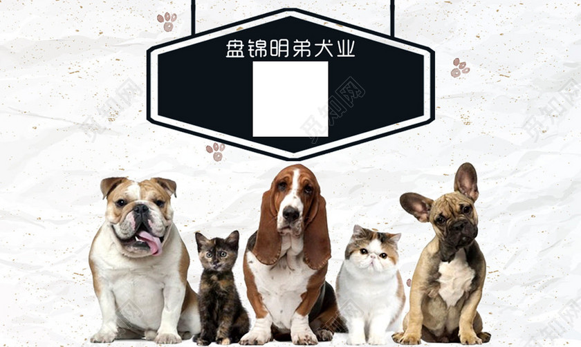 宠物店名片简约时尚艺术订购名片设计模板