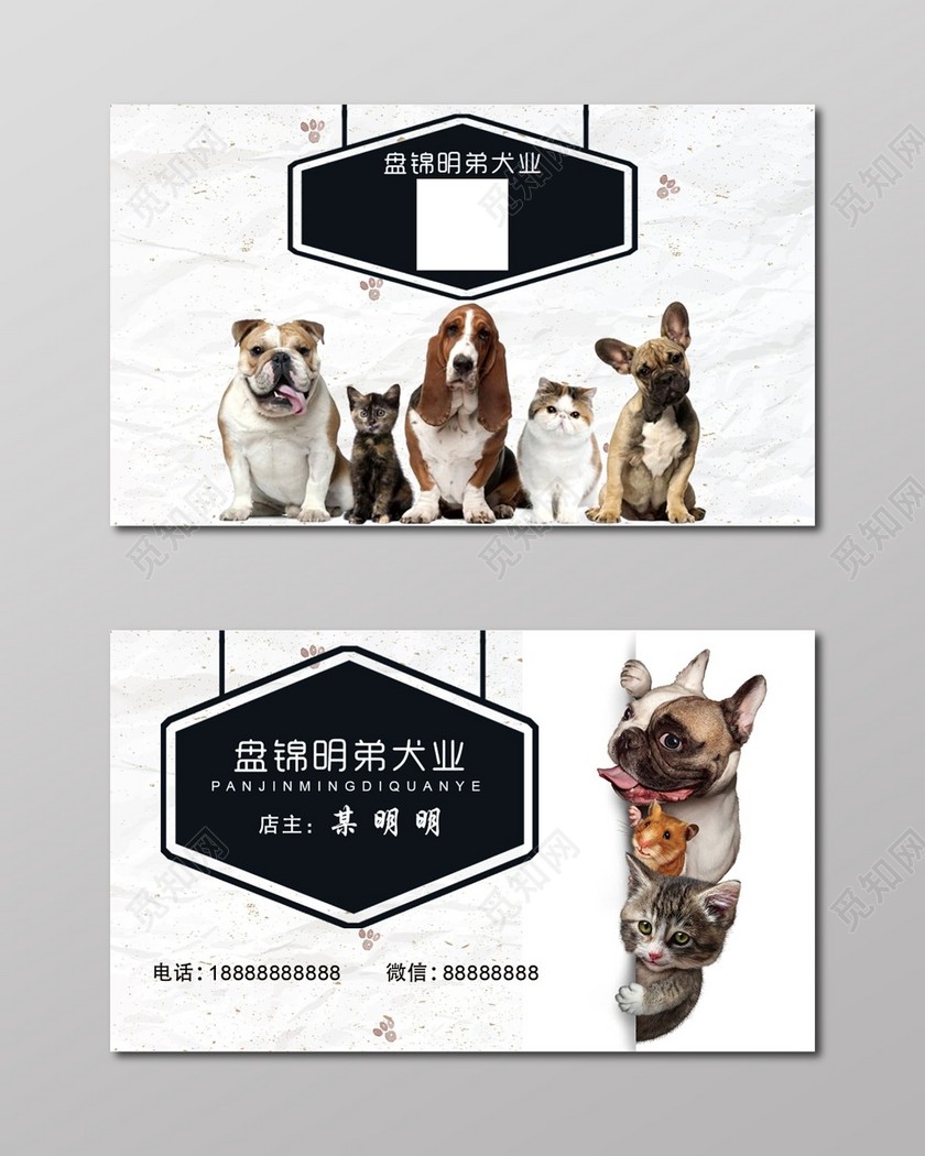 宠物店名片简约时尚艺术订购名片设计模板