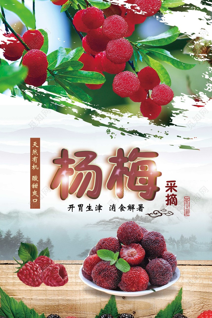 中国风山水背景杨梅水果杨梅采摘海报