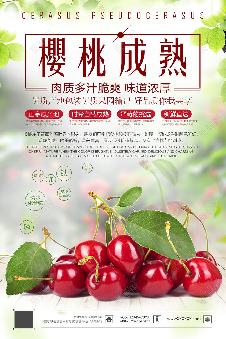 小清新樱桃成熟车厘子樱桃水果促销海报