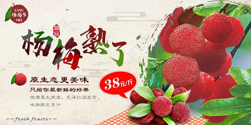 古典背景杨梅水果杨梅熟了促销展板
