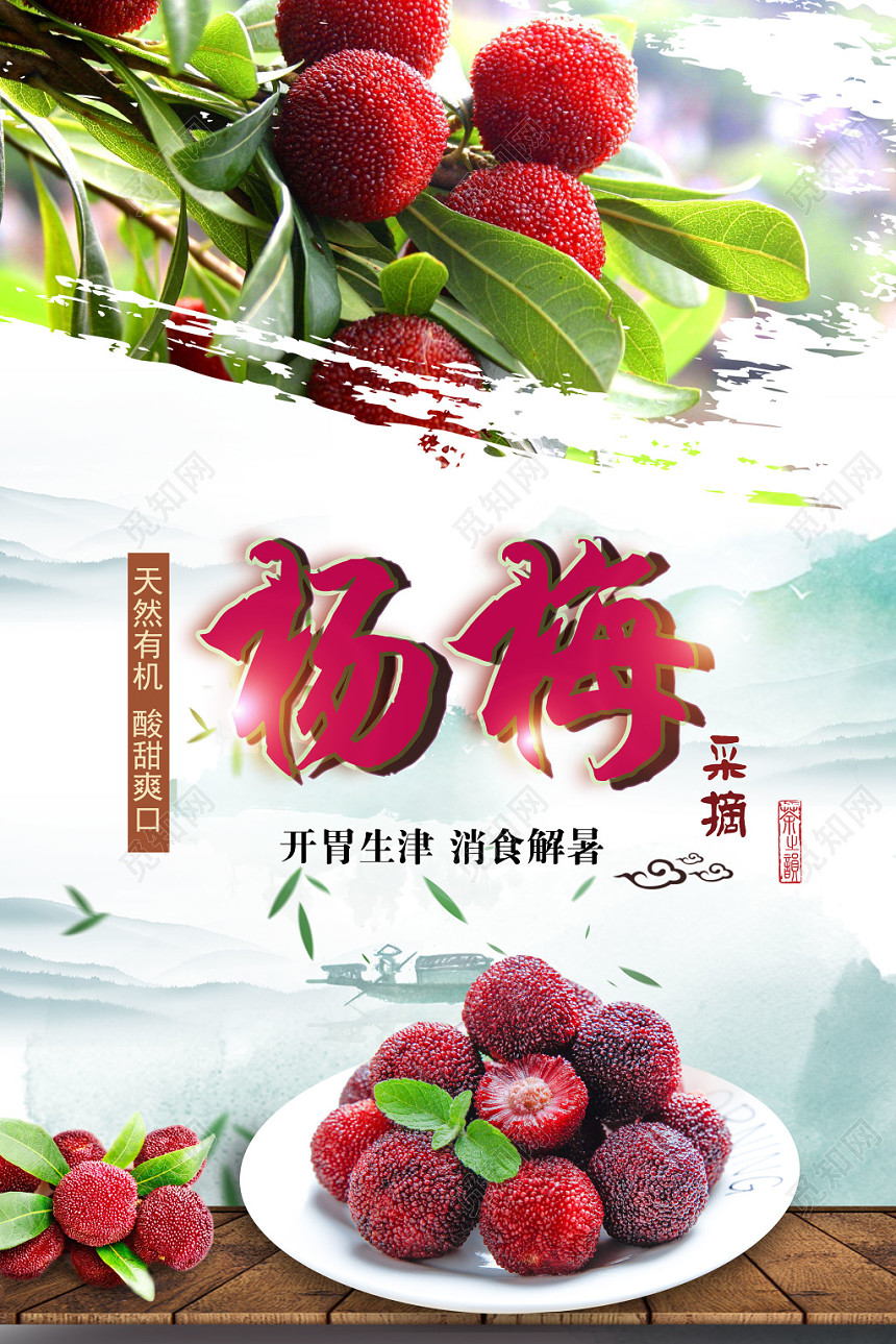 水墨杨梅采摘天然有机酸甜爽口水果宣传海报